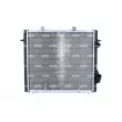 Radiateur, refroidissement du moteur NRF 507359 - Visuel 1