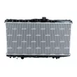 Radiateur, refroidissement du moteur NRF 507581 - Visuel 1