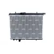 Radiateur, refroidissement du moteur NRF 509525 - Visuel 1