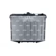 Radiateur, refroidissement du moteur NRF 509533 - Visuel 1