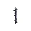 Radiateur, refroidissement du moteur NRF 509696 - Visuel 2
