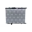 Radiateur, refroidissement du moteur NRF 519524 - Visuel 1