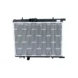 Radiateur, refroidissement du moteur NRF 519525 - Visuel 1