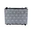 Radiateur, refroidissement du moteur NRF 519534 - Visuel 1