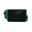 Radiateur, refroidissement du moteur NRF 52163 - Visuel 1