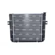 Radiateur, refroidissement du moteur NRF 52300 - Visuel 3