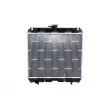 Radiateur, refroidissement du moteur NRF 530006 - Visuel 1