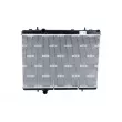Radiateur, refroidissement du moteur NRF 53112 - Visuel 1