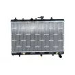 Radiateur, refroidissement du moteur NRF 53119 - Visuel 1