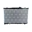 Radiateur, refroidissement du moteur NRF 53162 - Visuel 1