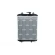 Radiateur, refroidissement du moteur NRF 53187 - Visuel 1