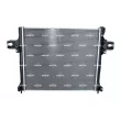 Radiateur, refroidissement du moteur NRF 53191 - Visuel 3