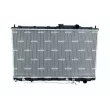 Radiateur, refroidissement du moteur NRF 53283 - Visuel 1