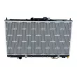 Radiateur, refroidissement du moteur NRF 53313 - Visuel 1