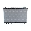 Radiateur, refroidissement du moteur NRF 53357 - Visuel 1