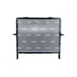 Radiateur, refroidissement du moteur NRF 53369 - Visuel 3