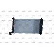 Radiateur, refroidissement du moteur NRF 53396 - Visuel 1