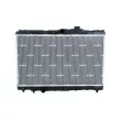Radiateur, refroidissement du moteur NRF 53399 - Visuel 1