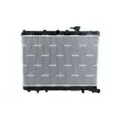 Radiateur, refroidissement du moteur NRF 53486 - Visuel 1