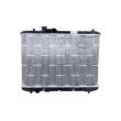 Radiateur, refroidissement du moteur NRF 53582 - Visuel 1