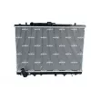 Radiateur, refroidissement du moteur NRF 53687 - Visuel 1
