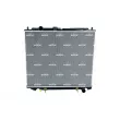 Radiateur, refroidissement du moteur NRF 53810 - Visuel 1