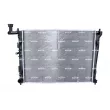 Radiateur, refroidissement du moteur NRF 53821 - Visuel 1
