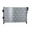 Radiateur, refroidissement du moteur NRF 53901 - Visuel 1