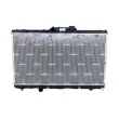 Radiateur, refroidissement du moteur NRF 53941 - Visuel 1
