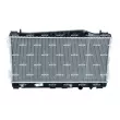 Radiateur, refroidissement du moteur NRF 53955 - Visuel 1