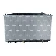 Radiateur, refroidissement du moteur NRF 53971 - Visuel 1