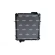 Radiateur, refroidissement du moteur NRF 54073 - Visuel 1