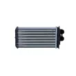 Système de chauffage NRF 54251 - Visuel 1