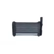 Système de chauffage NRF 54265 - Visuel 3