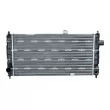 Radiateur, refroidissement du moteur NRF 54704 - Visuel 1
