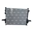 Radiateur, refroidissement du moteur NRF 550019 - Visuel 3