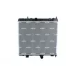 Radiateur, refroidissement du moteur NRF 550021 - Visuel 1