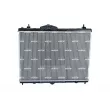 Radiateur, refroidissement du moteur NRF 550027 - Visuel 3
