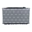 Radiateur, refroidissement du moteur NRF 550048 - Visuel 1
