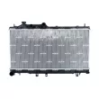 Radiateur, refroidissement du moteur NRF 550052 - Visuel 1