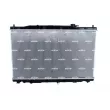 Radiateur, refroidissement du moteur NRF 550061 - Visuel 1