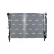 Radiateur, refroidissement du moteur NRF 550086 - Visuel 1