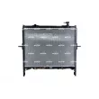 Radiateur, refroidissement du moteur NRF 550095 - Visuel 1
