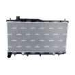 Radiateur, refroidissement du moteur NRF 550099 - Visuel 1