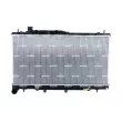 Radiateur, refroidissement du moteur NRF 550103 - Visuel 1