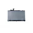 Radiateur, refroidissement du moteur NRF 550106 - Visuel 1