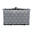 Radiateur, refroidissement du moteur NRF 550109 - Visuel 1