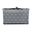 Radiateur, refroidissement du moteur NRF 550109 - Visuel 3