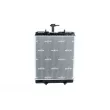 Radiateur, refroidissement du moteur NRF 550116 - Visuel 3