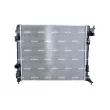 Radiateur, refroidissement du moteur NRF 550119 - Visuel 1